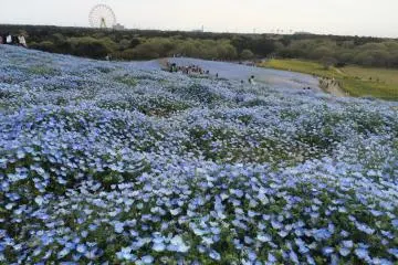 Nice view.