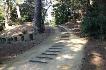 Hike up to highest point of Aoshima