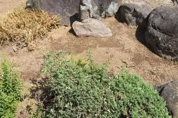Another cute statue