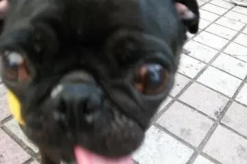 Drool...agh, time to go home! I'm in a state!