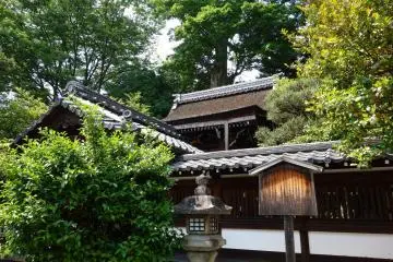 Peaceful, quaint and plenty of green