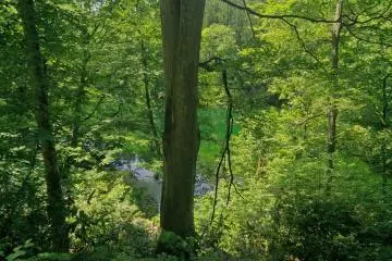 Stunning views of nature