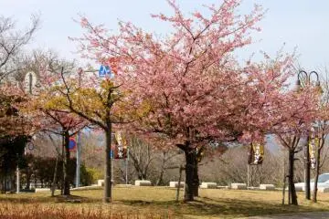 Nihondaira in Shizuoka City