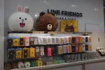 텍 섹션