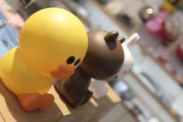 브라운, 코니 저금통