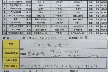 The lesson diagnostic sheet