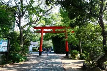 Le torii de l'entrée