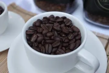 Coffee booth - oldest coffee bean from England 