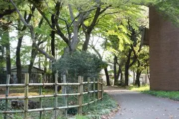 The university's open campus allows anyone to stroll through