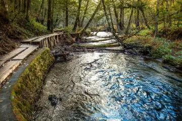 You will soon notice that most of the trail runs parallel to the Yu-River