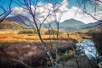 After about half an hour you will reach Senjo-ga-hara marsh 