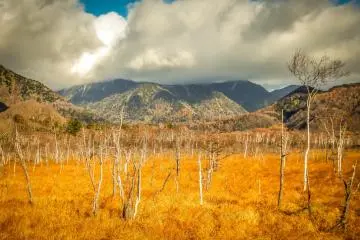 These lush marshlands make an impressive sight