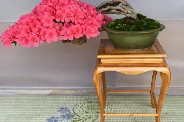 Terlihat seperti tertiup angin