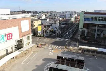 View from the terrace