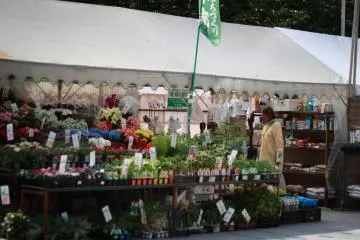 Des stands vendant des fleurs près du Musée Municipal d'Art d'Osaka