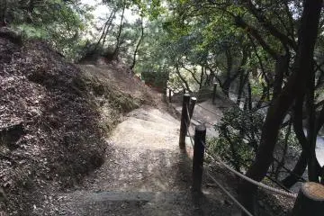 Climbing up to the lookout point requires some stair climbing but it is not very high.