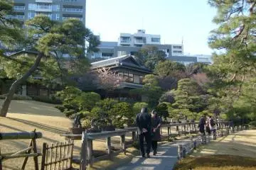 <p>Visitors to the garden admire bonsai trees older than themselves</p>