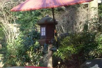 <p>There are a handful of places to sit and rest around the pond</p>