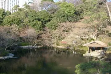 <p>A view down to the pond from the terrace above</p>