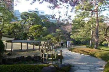 <p>Visitors enjoy the calming atmosphere as they stroll slowly around the garden</p>