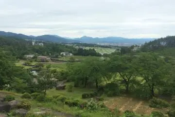 Another part of the park