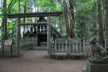 Gallery image