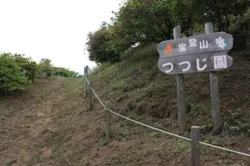 Le chemin des azalées