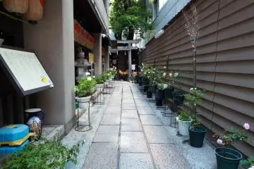 Gallery image