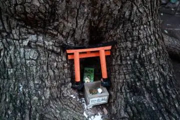 Sukunahikona Shrine
