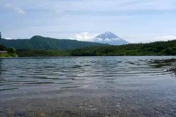 Lake Saiko has the fourth largest surface area, yet is the second deepest of Mt. Fuji's five lakes