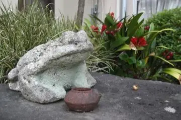 A grumpy-looking stone frog