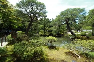 Plants and trees in the temple are well taken care of