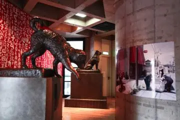 Series of Hachiko statues appear to be running away from where it stands