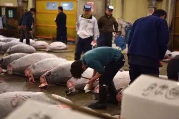 Crouching for inspection