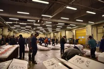 Entering the auction warehouse