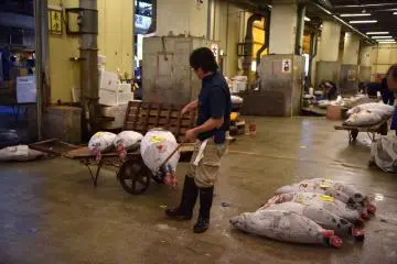 A tuna is a hefty thing