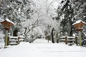 Pathway leading to the shrine itself