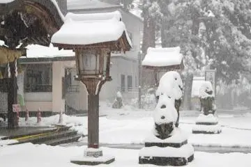 Blizzard conditions interrupted this particular visit!