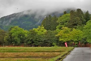 Ce jardin de 25 000 m2 est difficile à trouver si vous ne savez pas où regarder