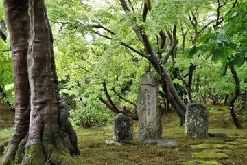 Prenez le bus Mizuho/Tsuchifune depuis la station Fukushima, et descendez à "Haranomachi", marchez ensuite 10 minutes