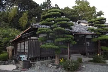 The main hall, with carefully pruned trees