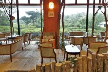View from lobby