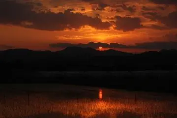 Puesta de sol sobre los campos de arroz.