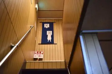 Usagi everywhere
