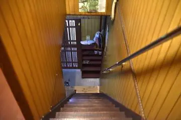 Down the rabbithole
