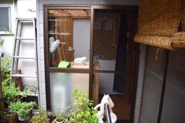 Back garden