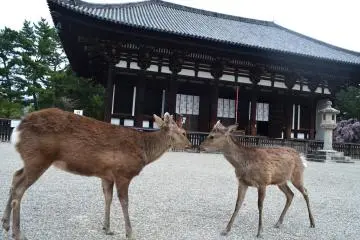 Kofuku-ji