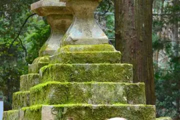 At the entrance of Kasuga Taisha