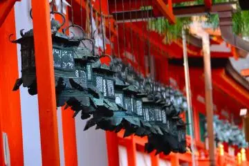 Metal Lanterns at Kasuga Taisha