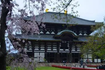 Todaiji Main Temple which host the Daibutsu